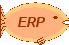 Erp